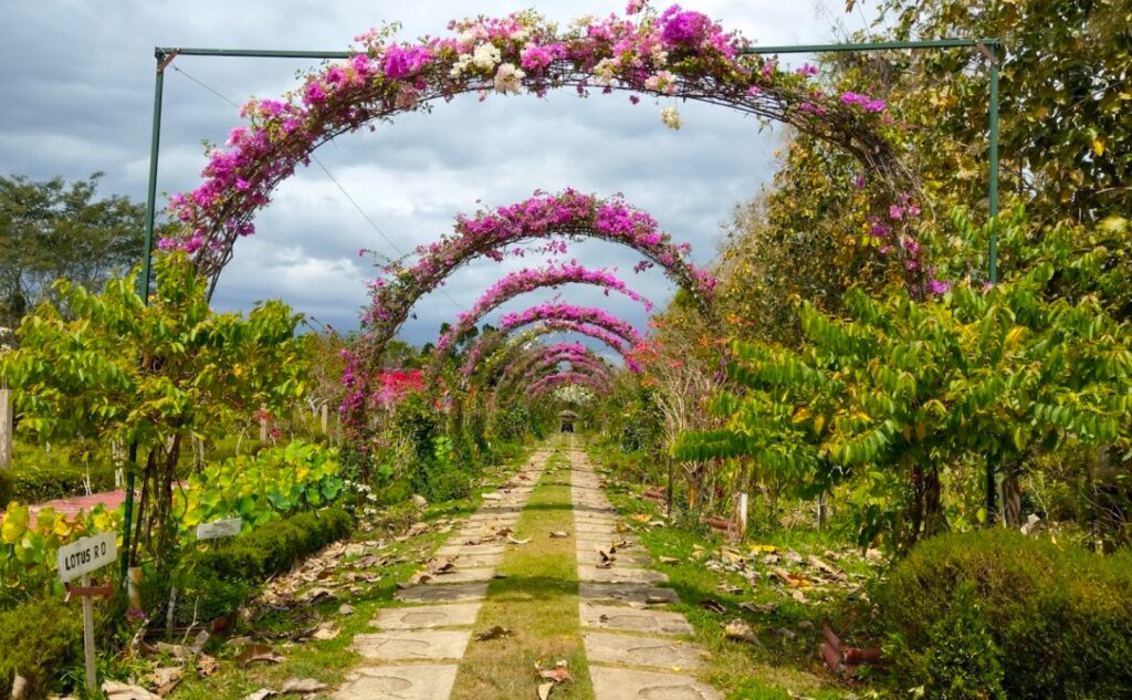 Enchanting Belize Spice Farm