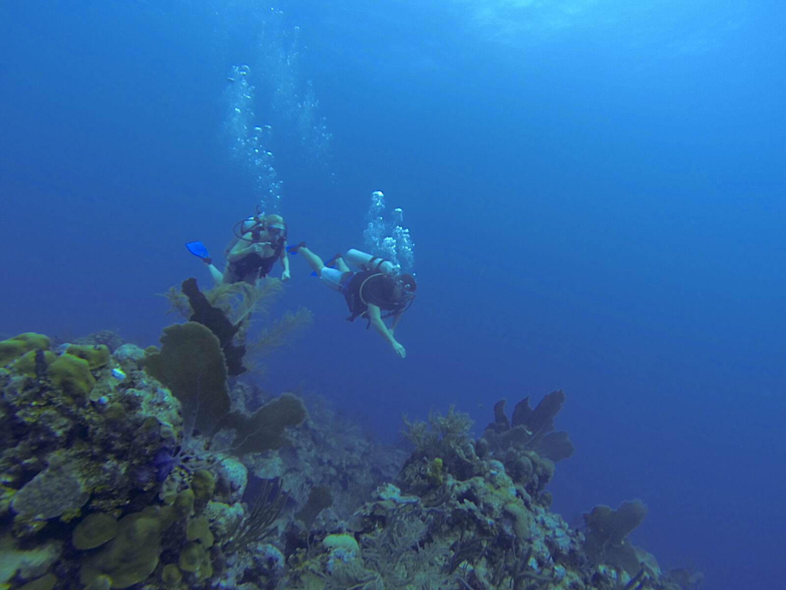 couple scuba diving belize