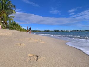 Placencia beach Belize with sand, coconut tree, and three people near the waterline under blue sky and cloud, showing the warm tropical climate and temperature in Belize