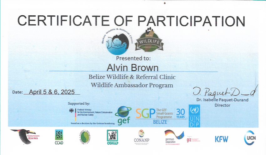 Certificate of Participation in Belize Wildlife & Referral Clinic Wildlife Ambassador Program awarded to Alvin Brown on April 5 and 6, 2025.
