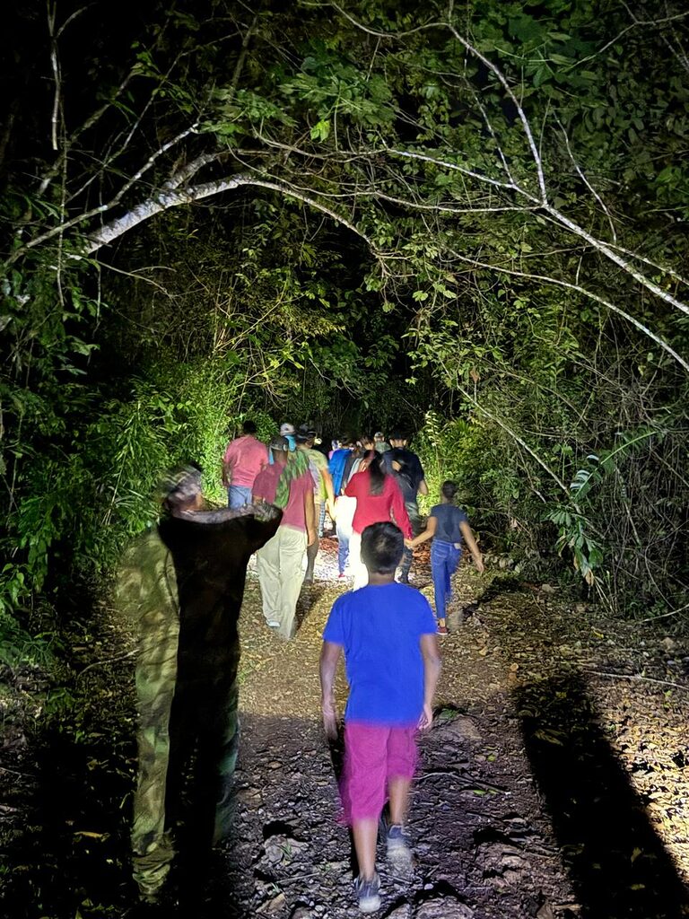 Night Hike Elijio Panti National Park