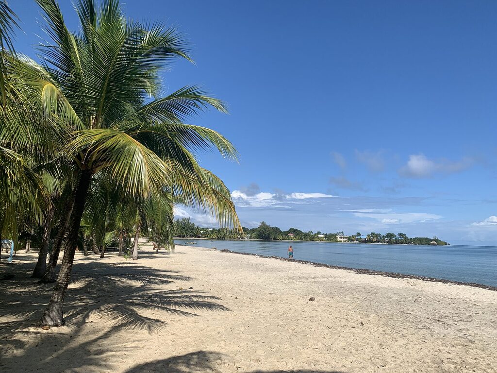 This beach in Placencia was formed by sand carried down from the Maya Mountains. The coast is shaped by the inland — more than most travelers realize.