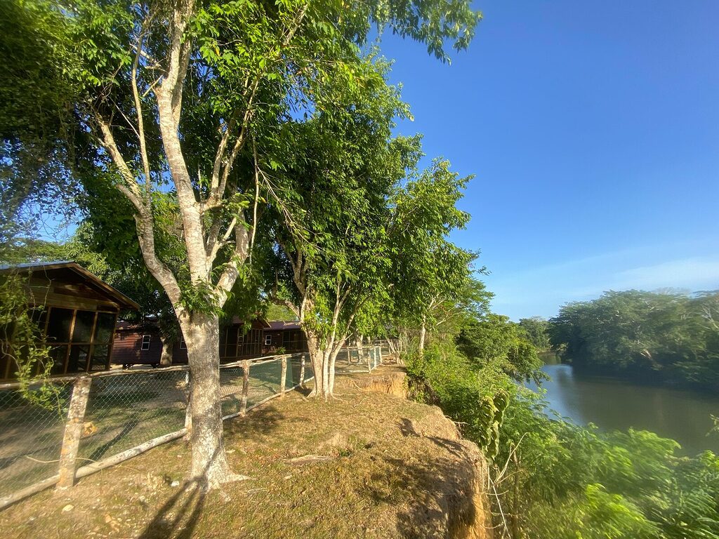 View of the Belize River partially hidden by vegetation, seen from cliffside cabanas in inland Belize
