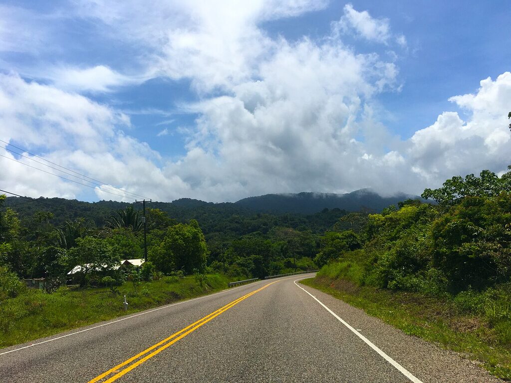 I’ve driven the Hummingbird Highway since it was bumpy and raw. Now parts are flattened — making it harder for wildlife to cross like they used to.