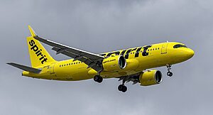 Spirit Airlines Airbus A321neo — launching new Fort Lauderdale to Belize route in 2025