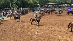 Mennonite rider on horseback in the foreground at the Belize Beef Fest Rodeo 2025 in Belmopan.