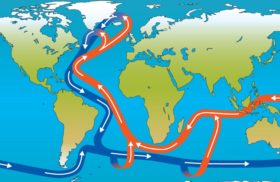 Schematic map of the Atlantic Meridional Overturning Circulation (AMOC), showing warm surface currents and cold deepwater currents in the Atlantic