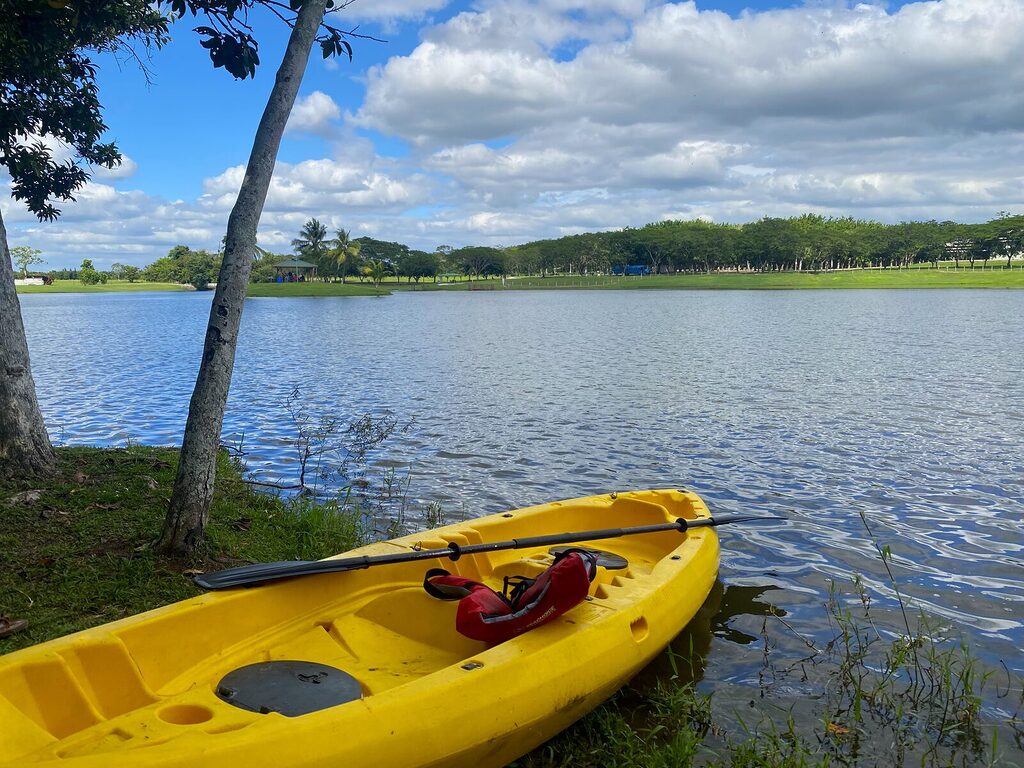 A kayak partially in the calm water beside a shoreline tree on a cloudy January day in Belize, with green grass and overcast skies.