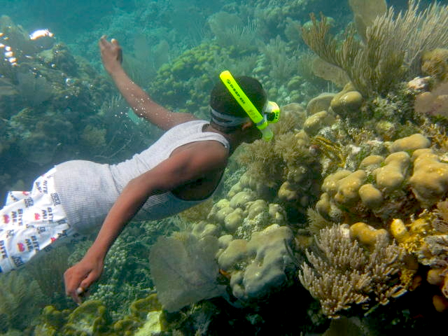 A boy free dives with snorkel gear in the clear blue waters of Belize in May, exploring the sea during whale shark season.
