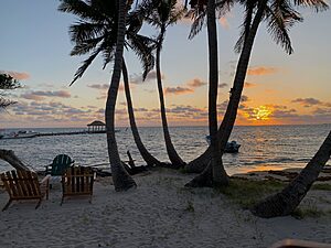 Sunrise over Long Caye near Belize’s Blue Hole in September, viewed between two coconut trees with a dock and beach chairs in the distance.