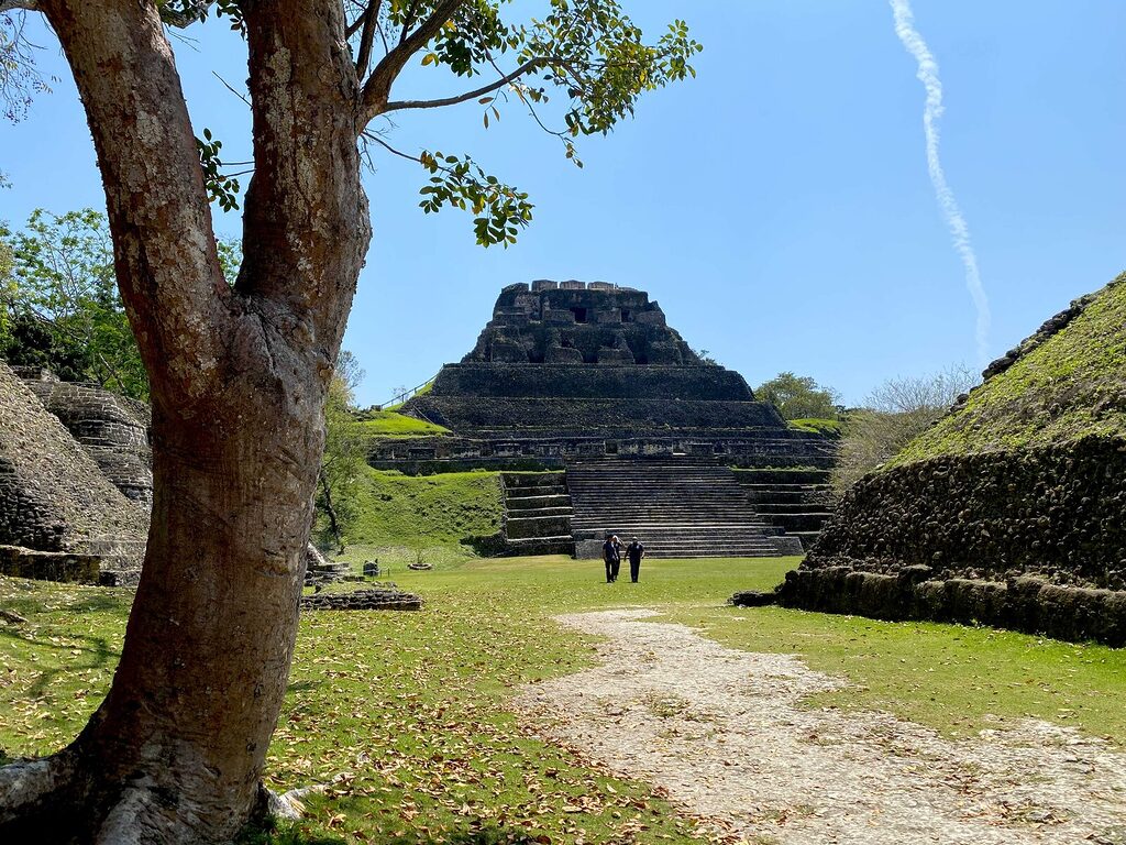 A gumbo-limbo tree in the foreground at Xunantunich, with El Castillo rising in the background and visitors walking toward the camera on a clear December day.
