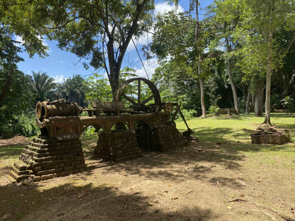 Serpon Sugar Mill historic site near Sittee River Village, Belize